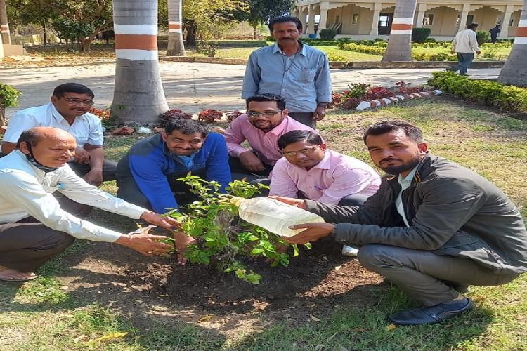 mimbpl-tree-plantation.jpg